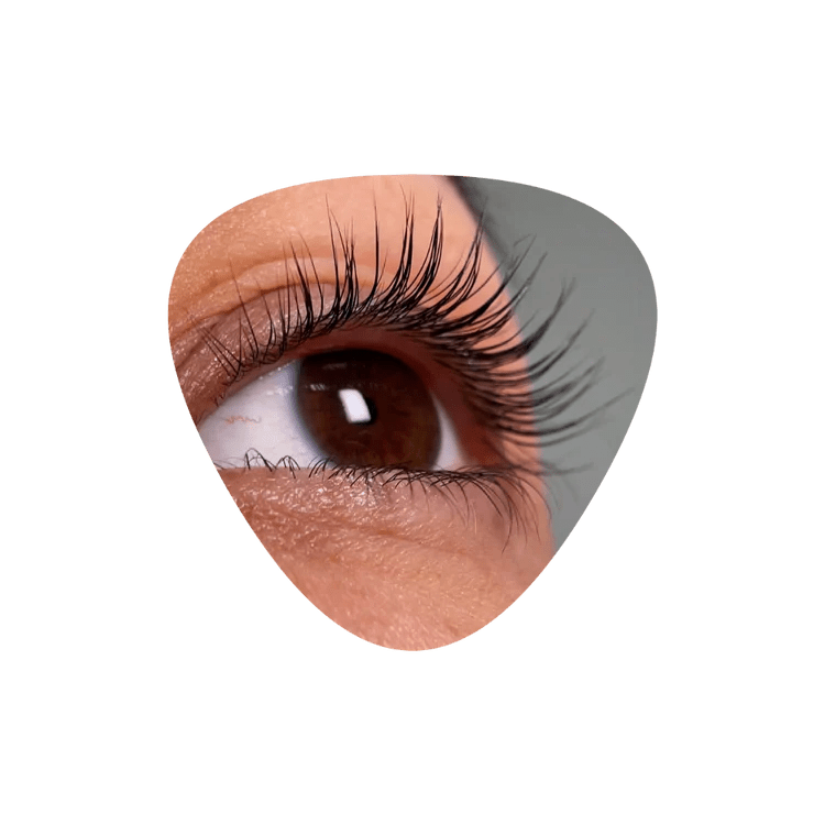 InLei® - FORMA + FORMA UP NEW Universal Eyelash Shields (4 pairs in a pack) - Cosmetica Pro Store